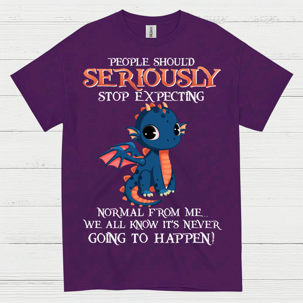 Funny Cute Dragon T Shirt