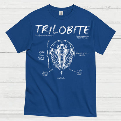 Trilobite Fossil Anatomy T Shirt