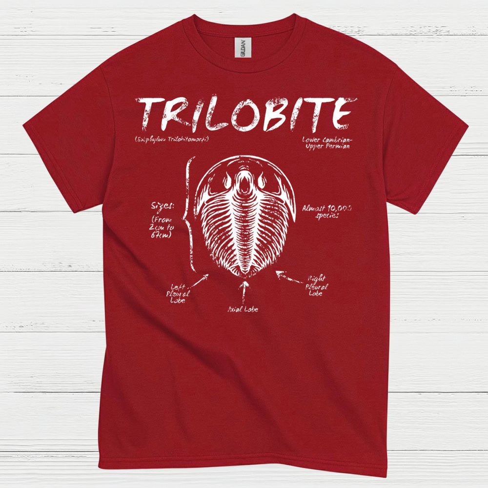 Trilobite Fossil Anatomy T Shirt