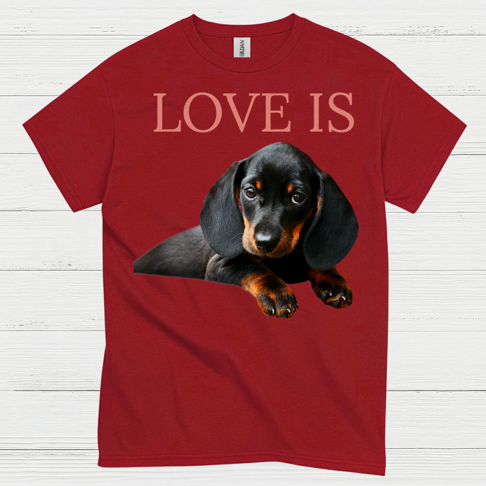 Love Is Black And Tan Dachshund Puppy T Shirt
