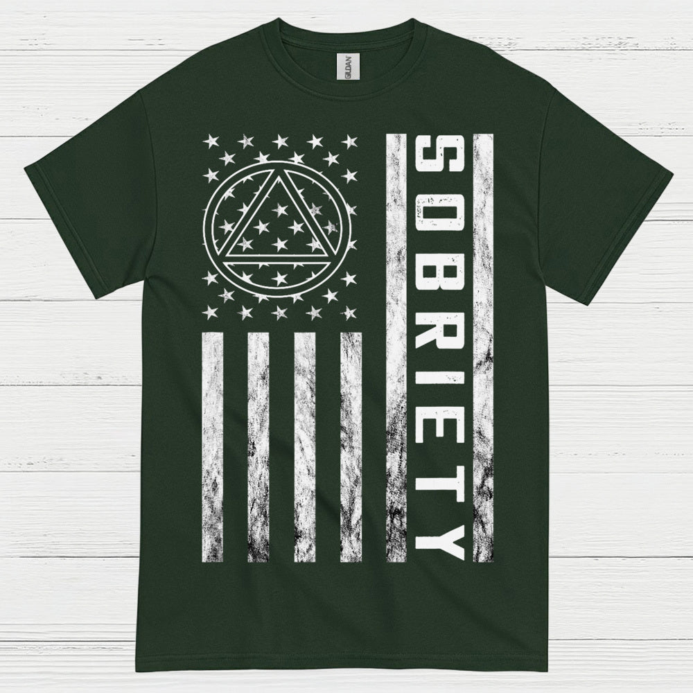 Sobriety Flag Recovery T Shirt