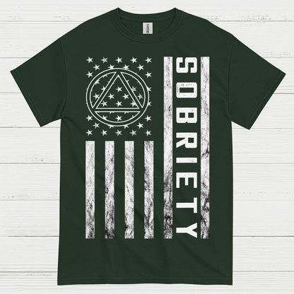 Sobriety Flag Recovery T Shirt