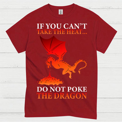 Fire Breathing Dragon T Shirt