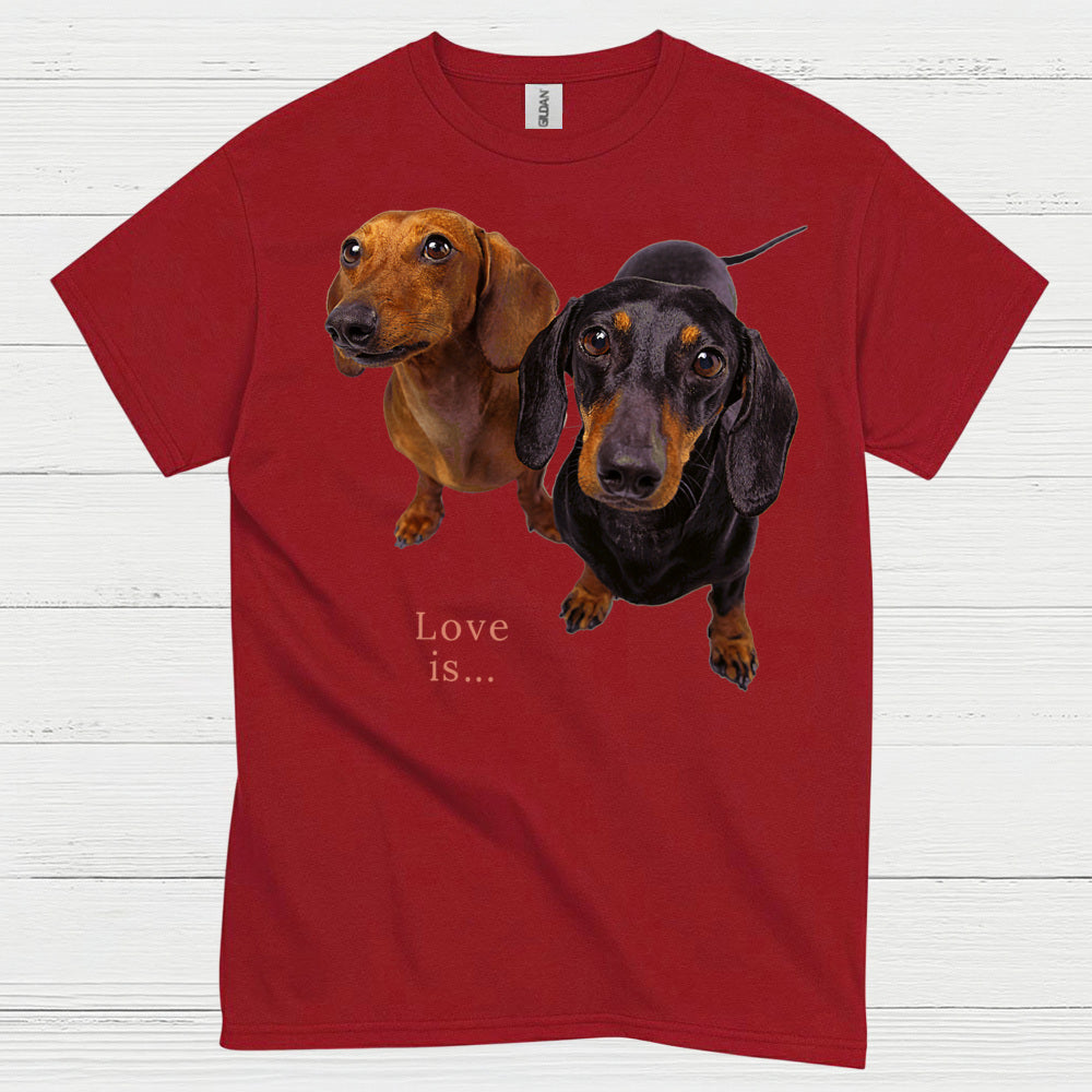 Never Underestimate A Woman Who Loves Coffee And Dachshunds T Shirt