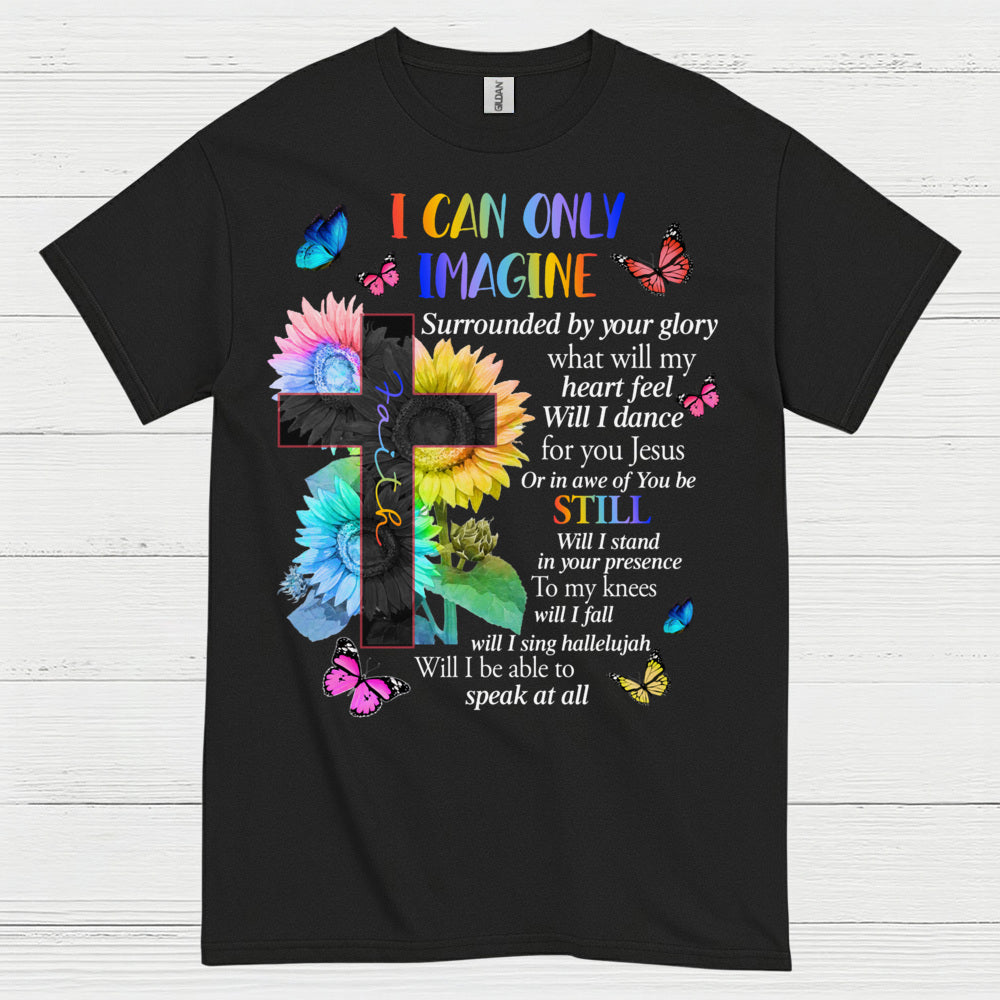 I Can Only Imagine Christian Worship T Shirt