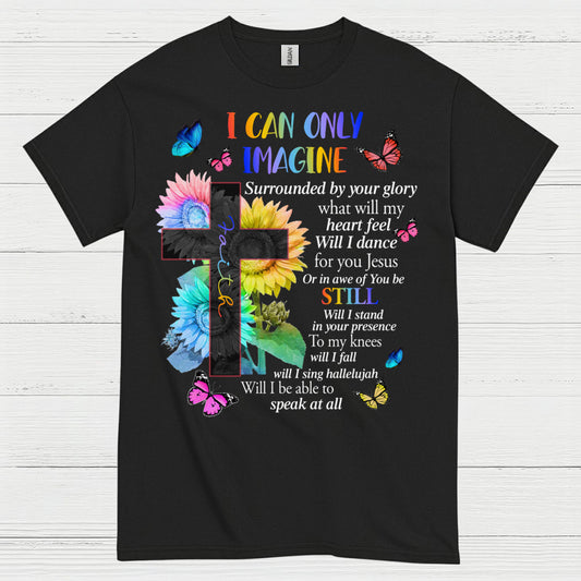 I Can Only Imagine Christian Worship T Shirt