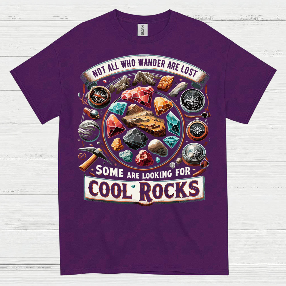 Some Are Looking For Cool Rocks T Shirt