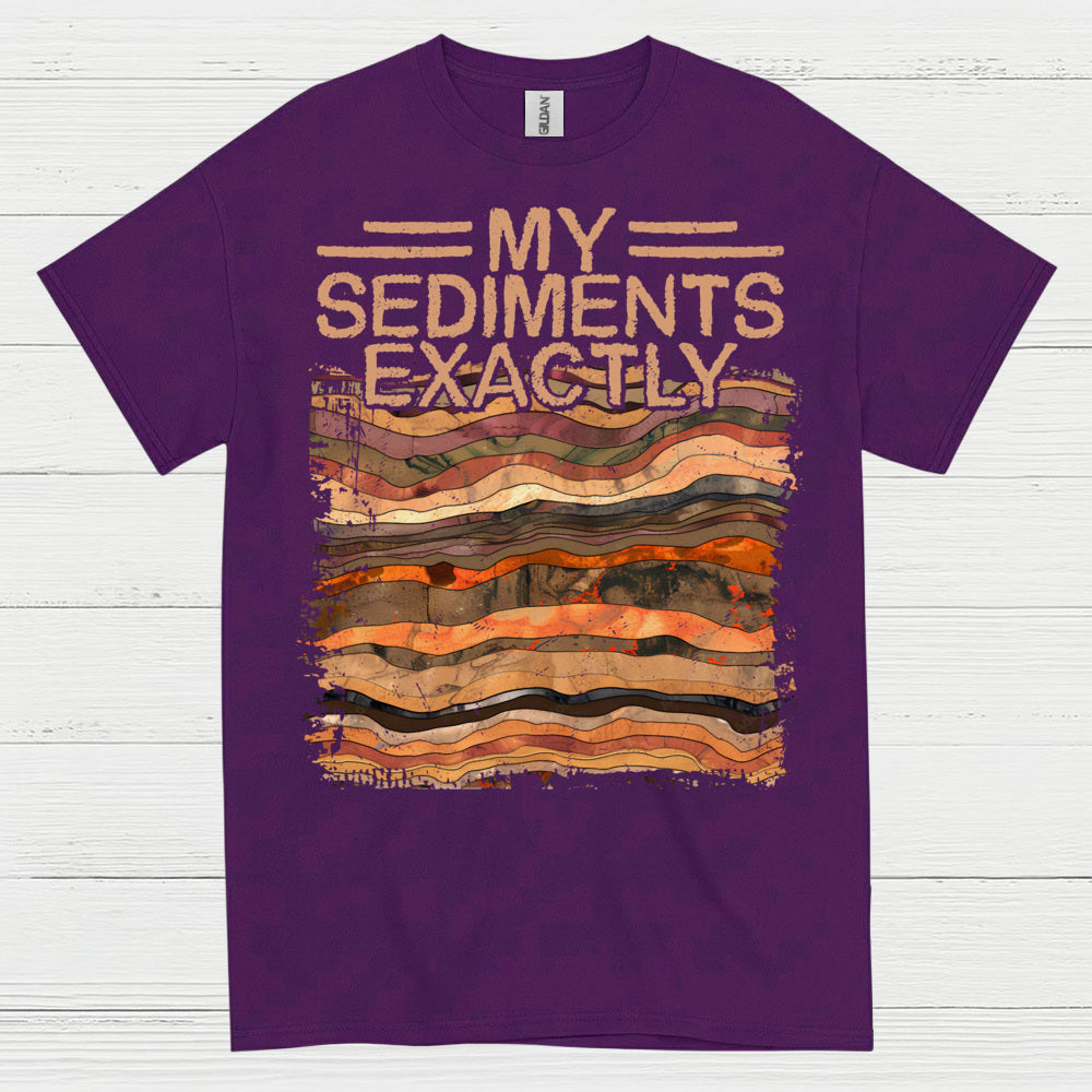 My Sediments Exactly Geologist T Shirt