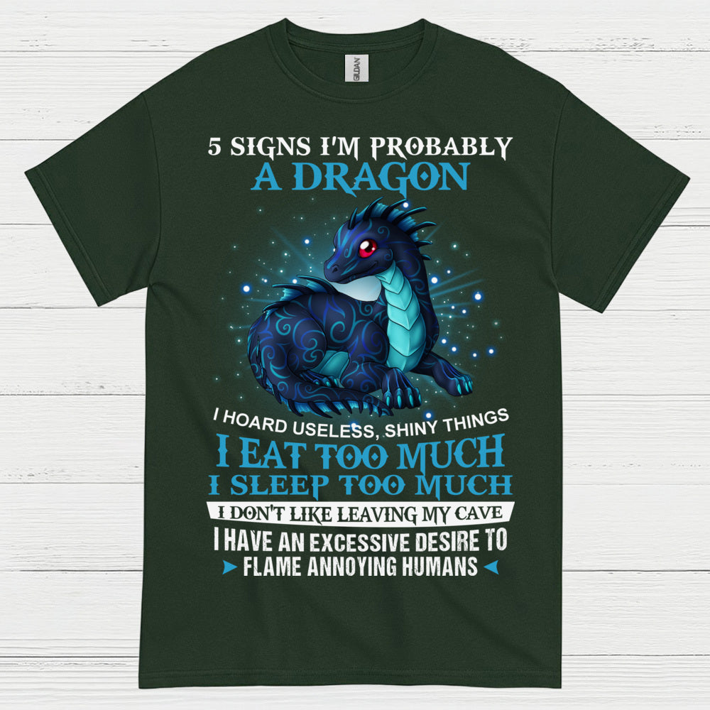 Probably A Dragon T Shirt