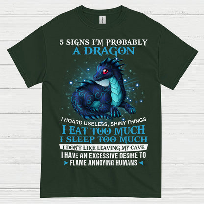 Probably A Dragon T Shirt