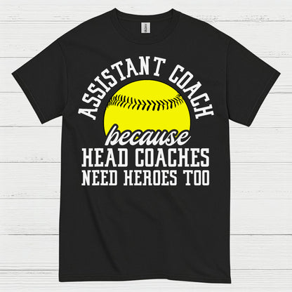 Assistant Coach Softball Hero T Shirt