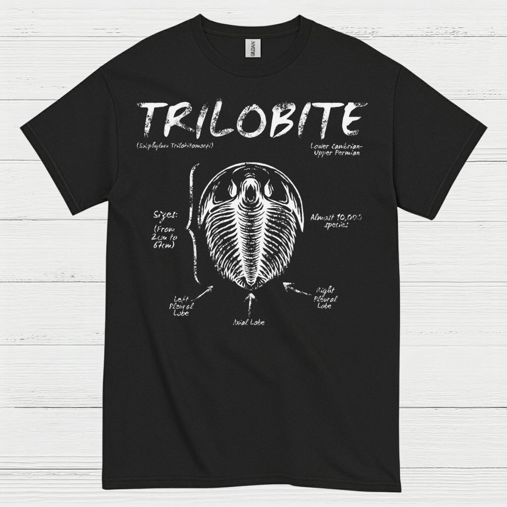 Trilobite Fossil Anatomy T Shirt