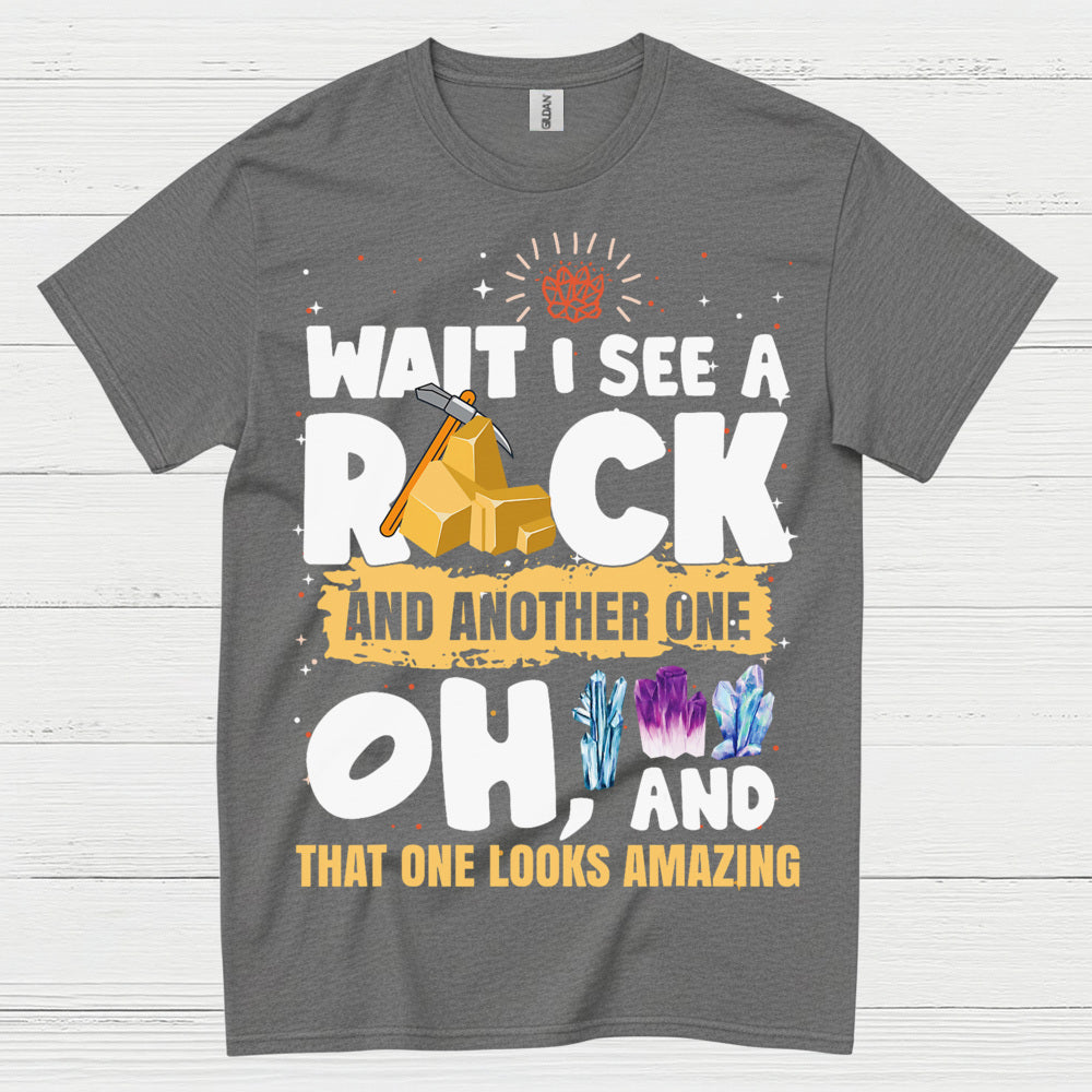 Wait I See A Rock T Shirt
