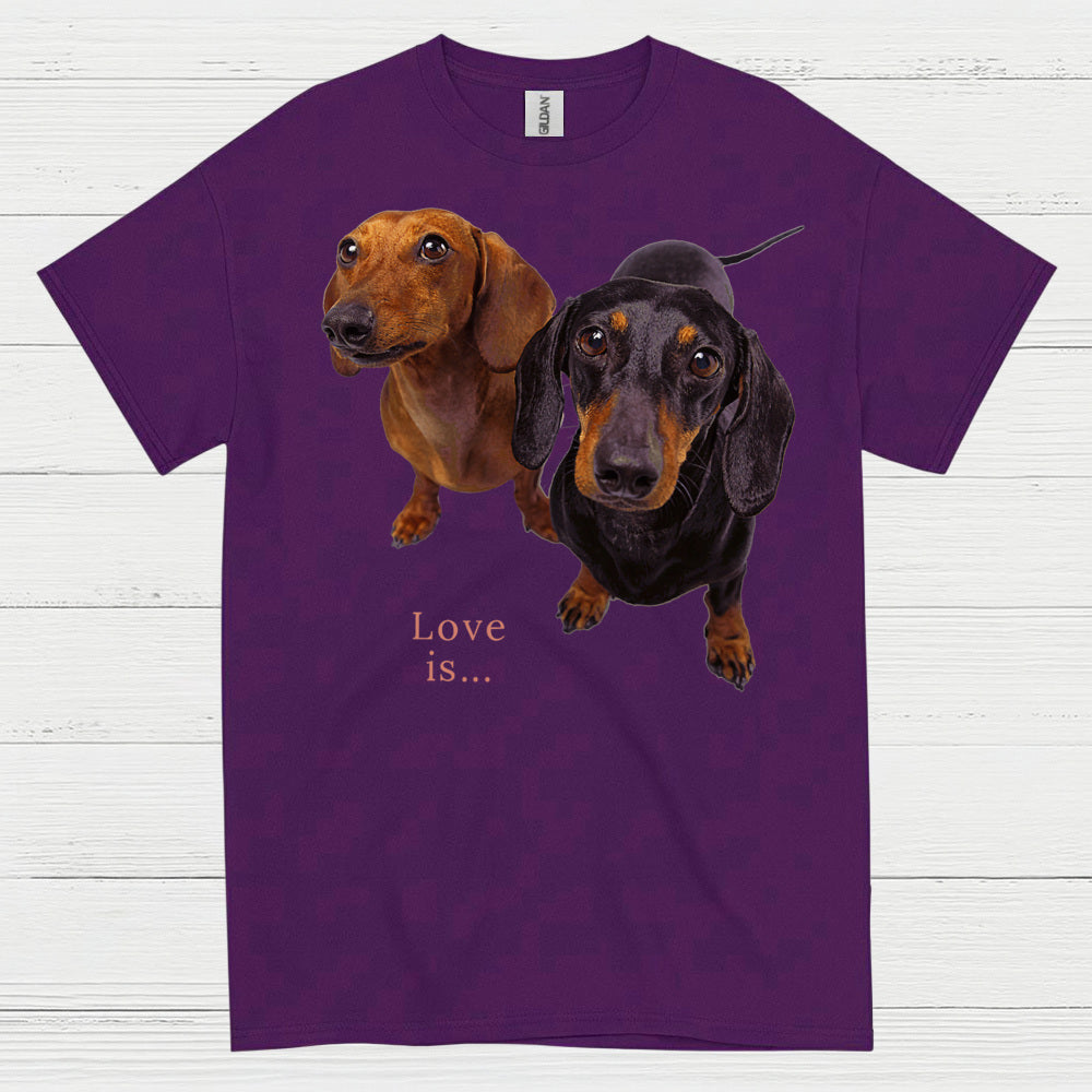 Never Underestimate A Woman Who Loves Coffee And Dachshunds T Shirt