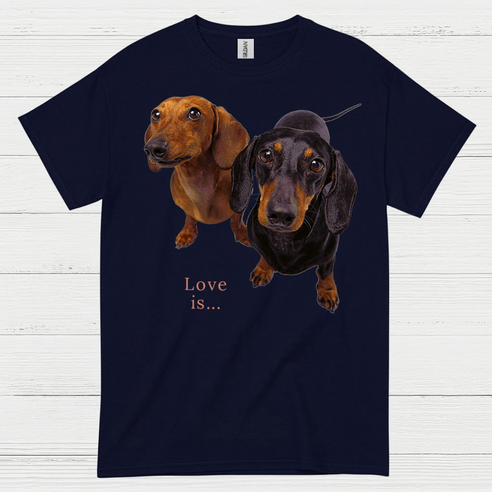 Never Underestimate A Woman Who Loves Coffee And Dachshunds T Shirt