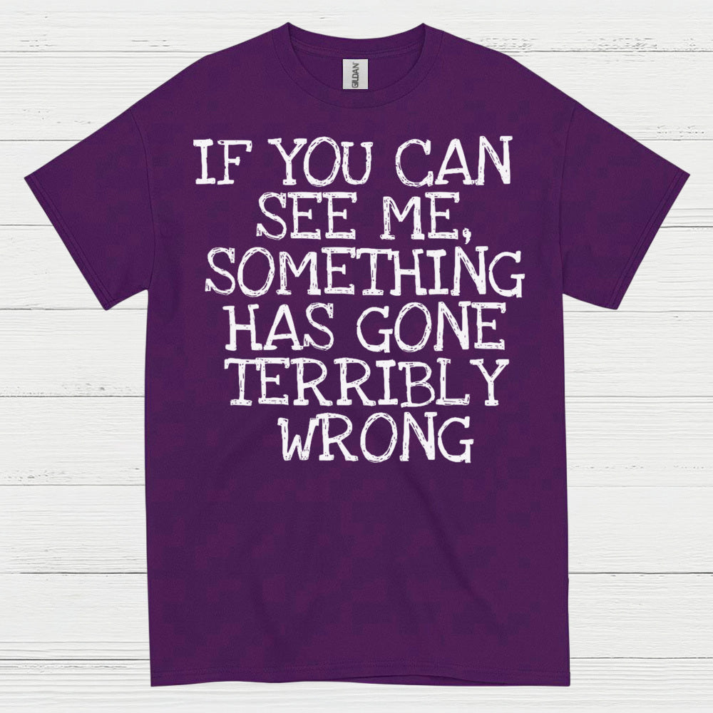 If You Can See Me Something Has Gone Wrong T Shirt