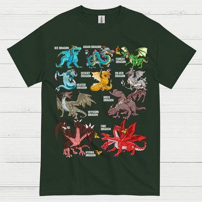 Types Of Dragons T Shirt