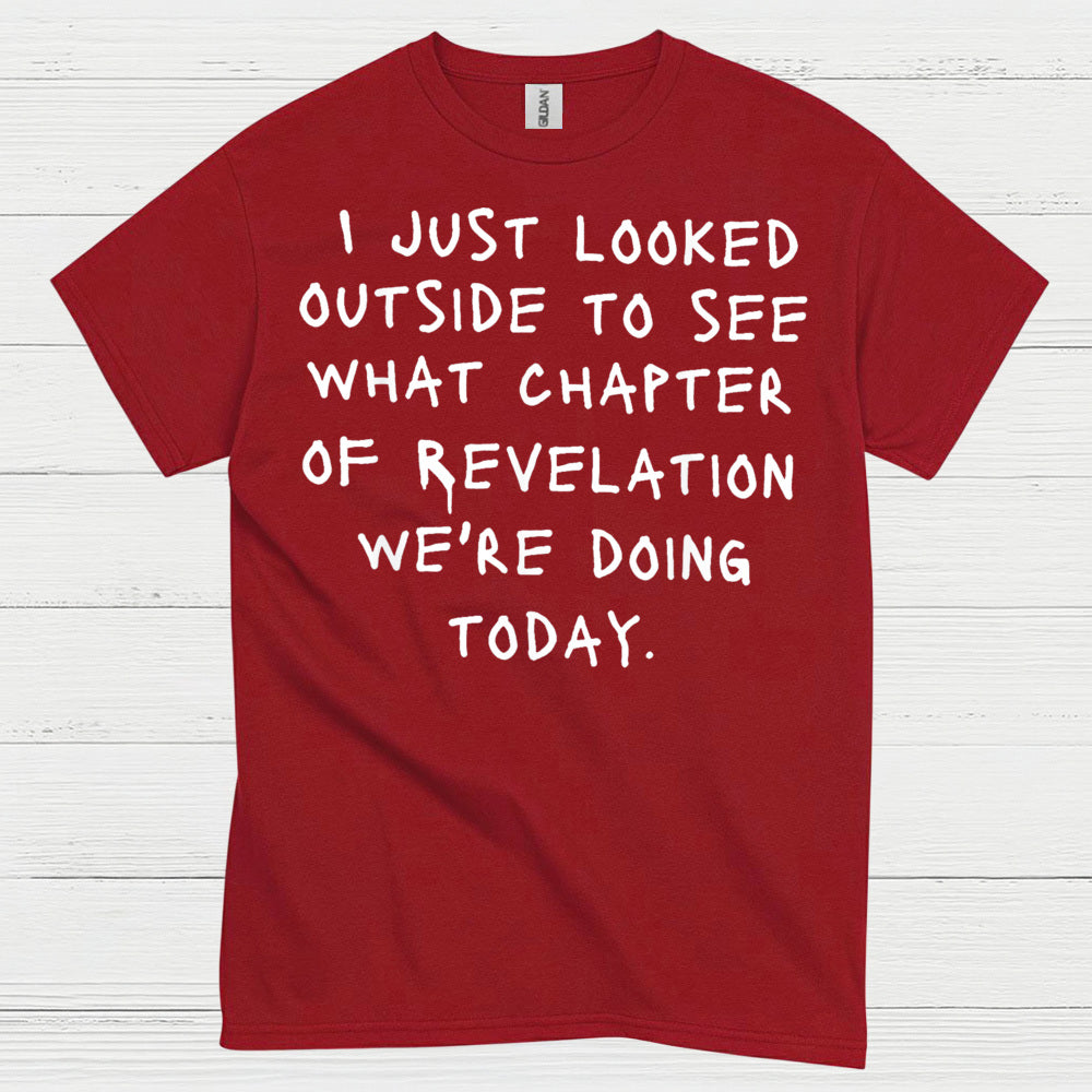 I Just Looked Outside Revelation Humor T Shirt
