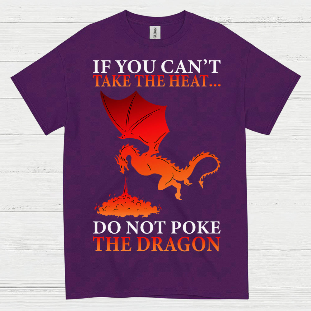 Fire Breathing Dragon T Shirt