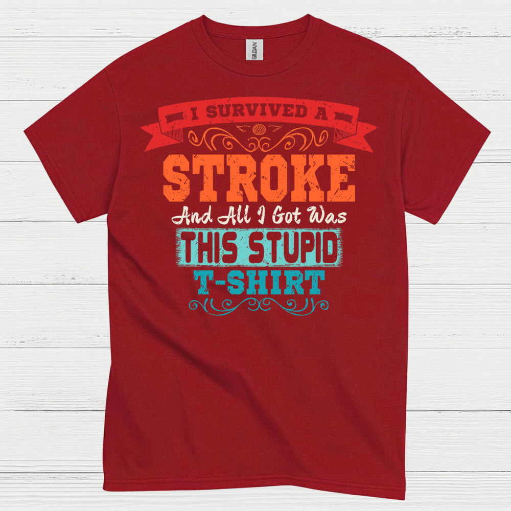 I Survived A Stroke Funny Survivor T Shirt