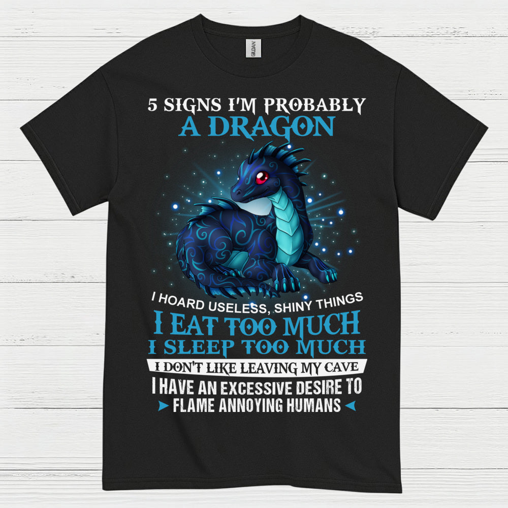 Probably A Dragon T Shirt