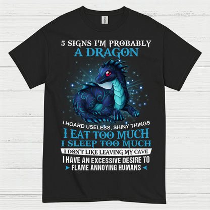 Probably A Dragon T Shirt
