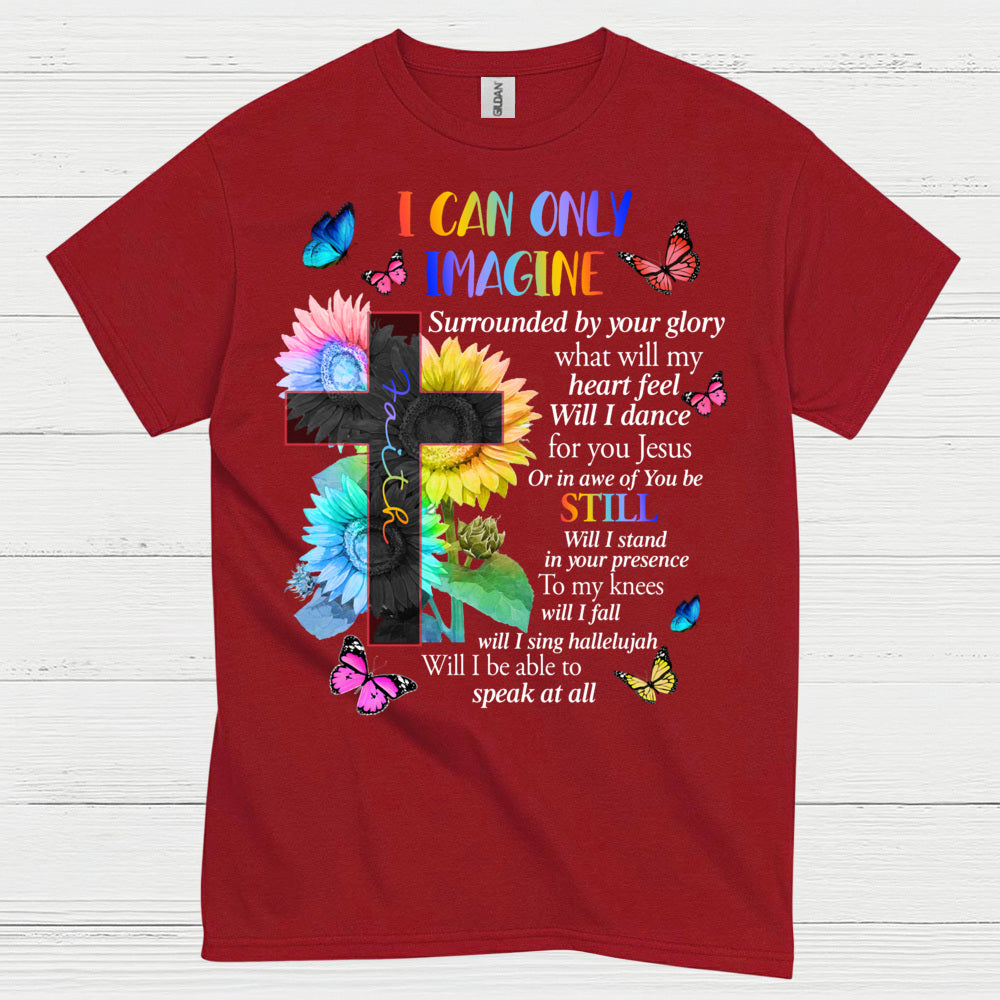 I Can Only Imagine Christian Worship T Shirt