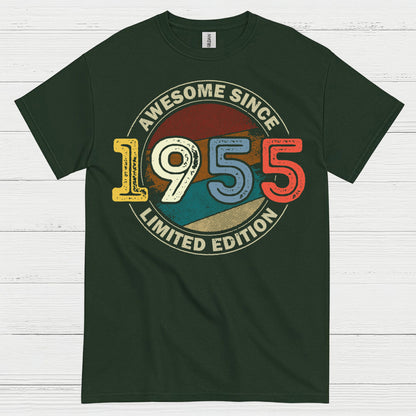 Awesome Since 1955 Birthday T Shirt