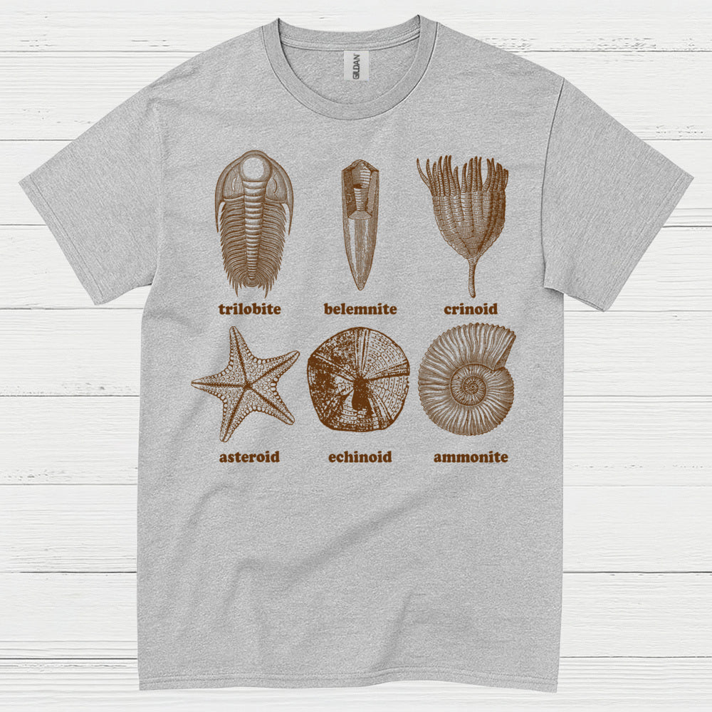 Fossil Collection Geology T Shirt