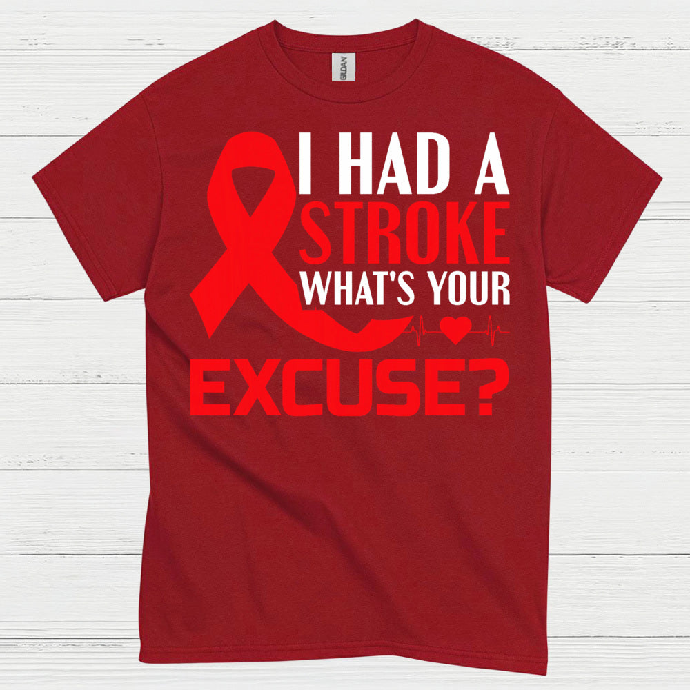 I Had A Stroke Whats Your Excuse Awareness T Shirt