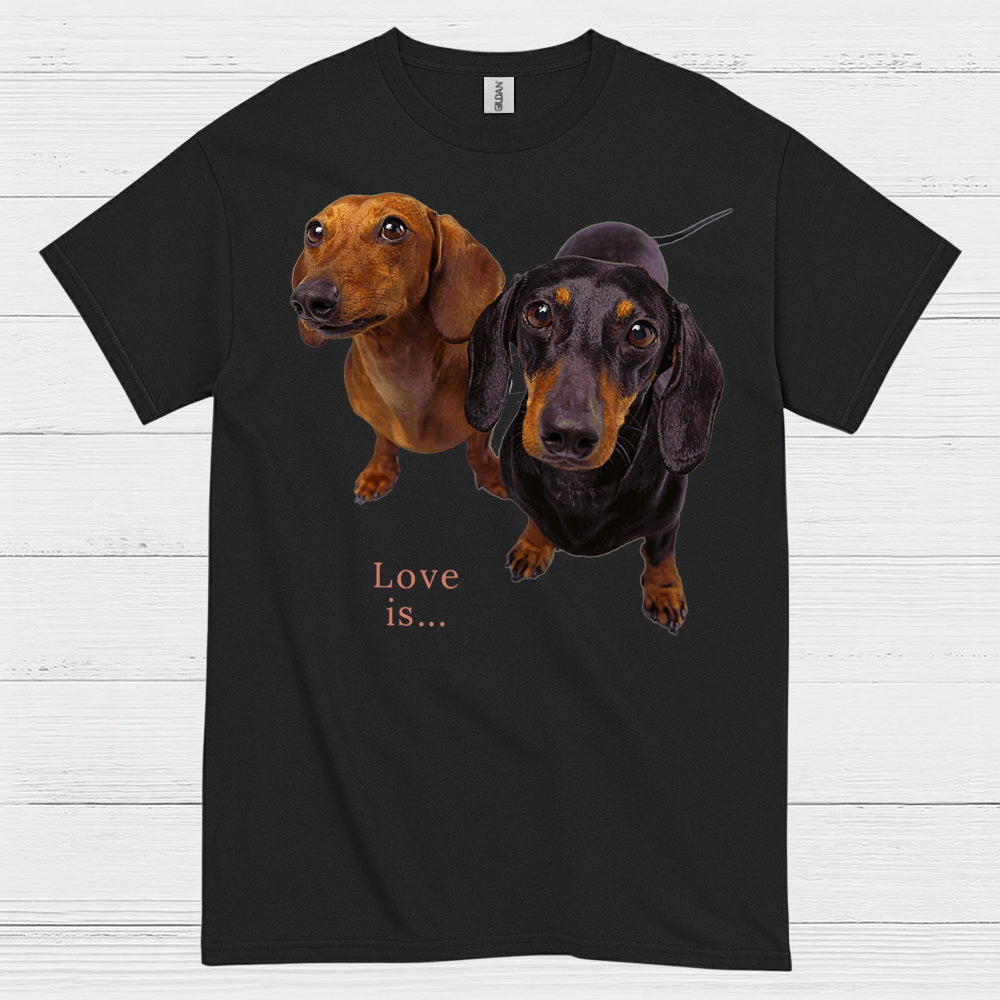 Never Underestimate A Woman Who Loves Coffee And Dachshunds T Shirt
