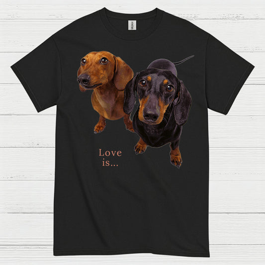Never Underestimate A Woman Who Loves Coffee And Dachshunds T Shirt