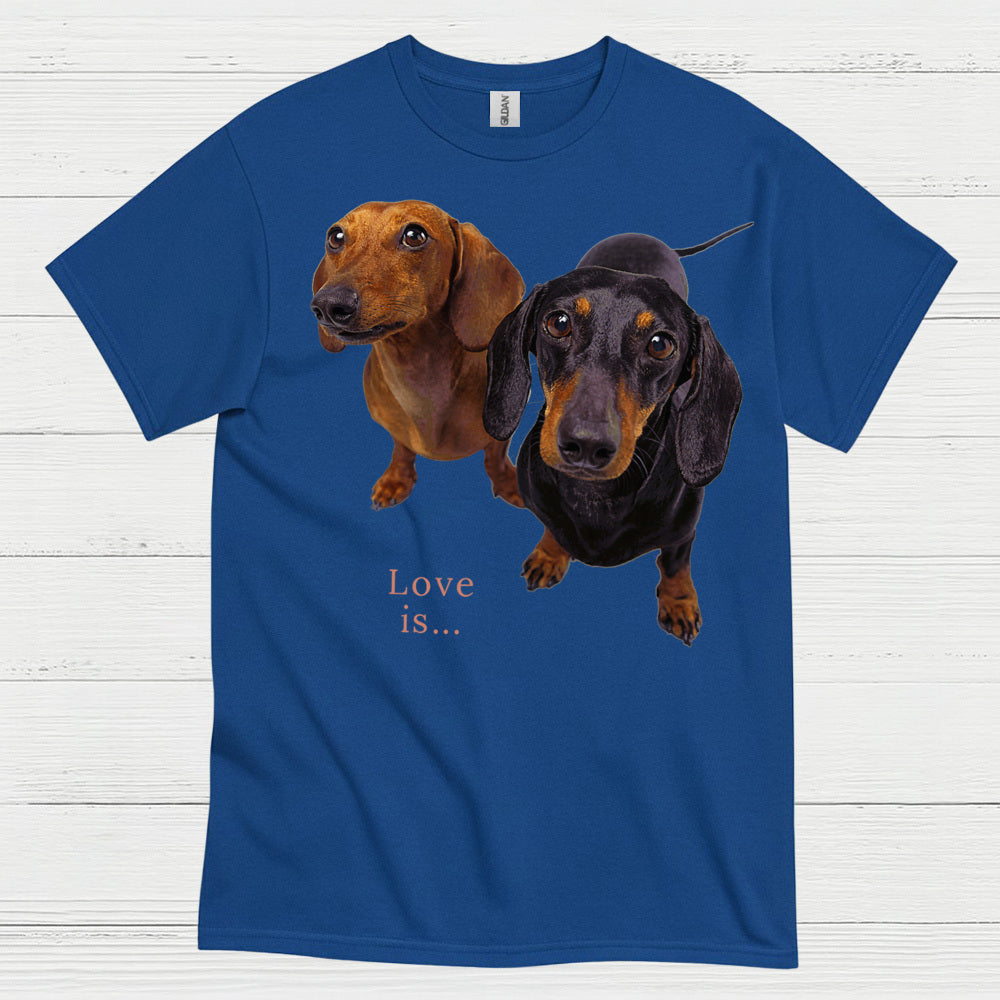 Never Underestimate A Woman Who Loves Coffee And Dachshunds T Shirt