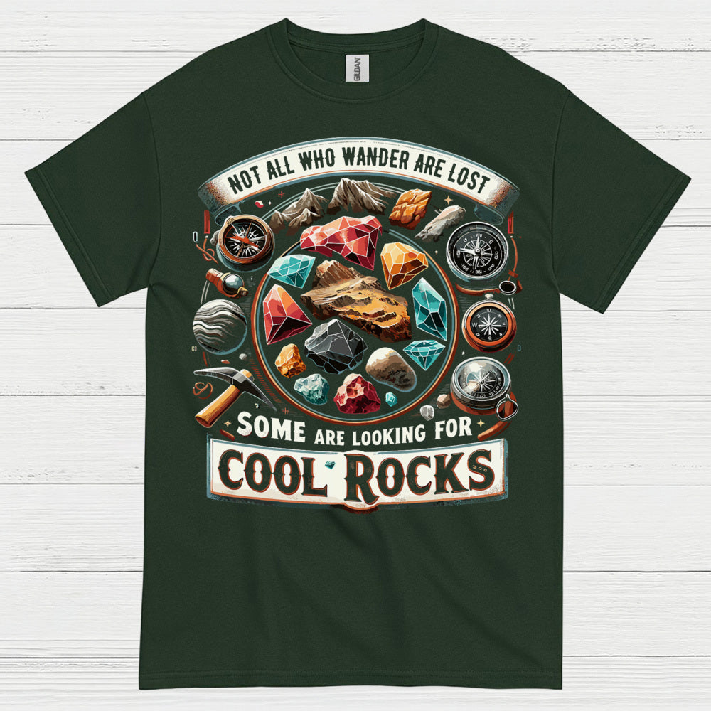 Some Are Looking For Cool Rocks T Shirt