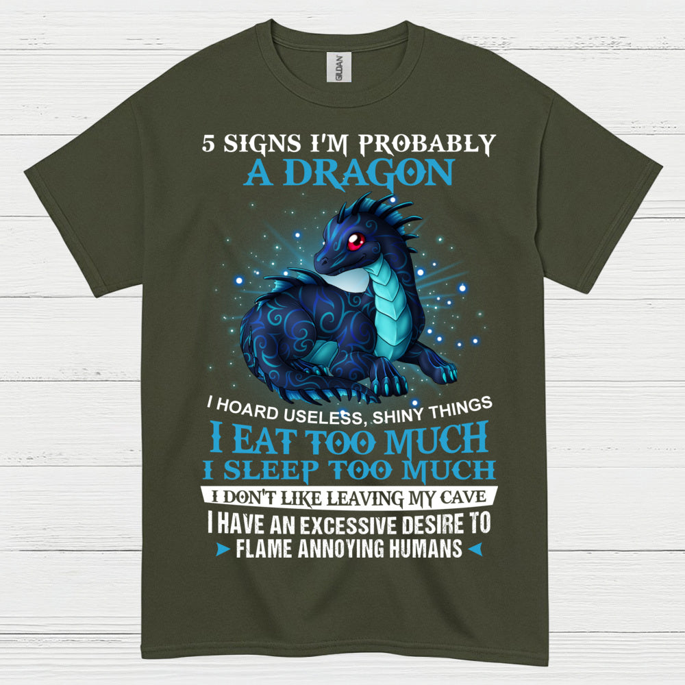 Probably A Dragon T Shirt