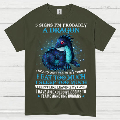 Probably A Dragon T Shirt