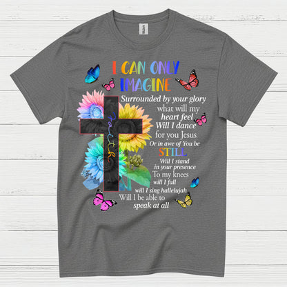 I Can Only Imagine Christian Worship T Shirt