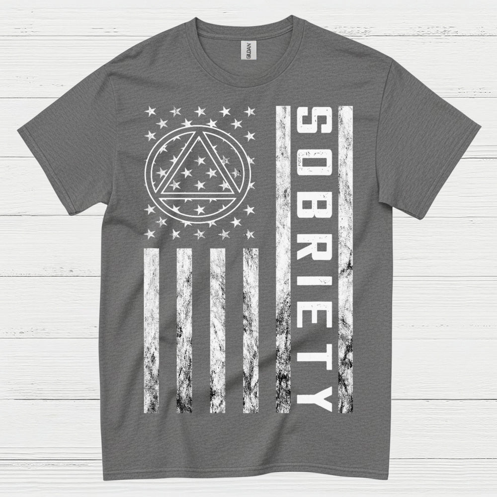 Sobriety Flag Recovery T Shirt