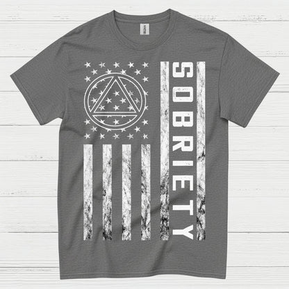 Sobriety Flag Recovery T Shirt