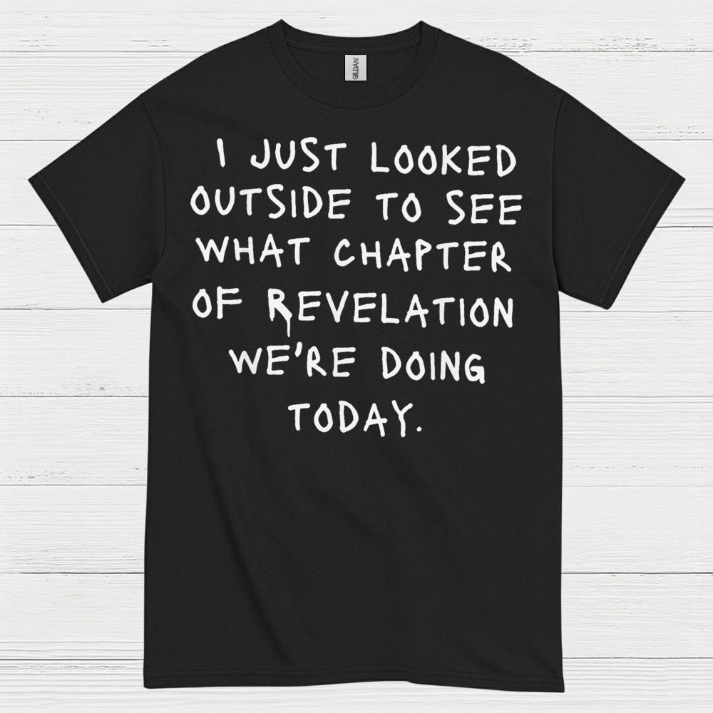 I Just Looked Outside Revelation Humor T Shirt