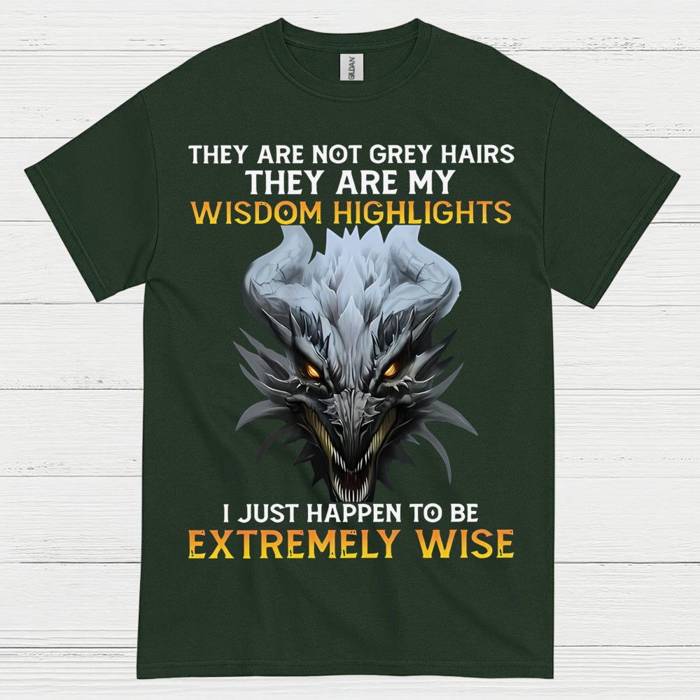 Extremely Wise Dragon T Shirt