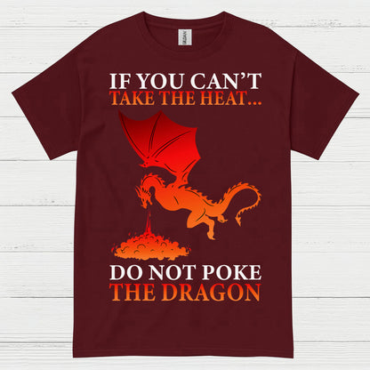 Fire Breathing Dragon T Shirt