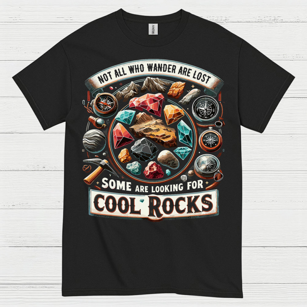 Some Are Looking For Cool Rocks T Shirt