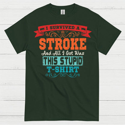 I Survived A Stroke Funny Survivor T Shirt