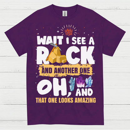 Wait I See A Rock T Shirt