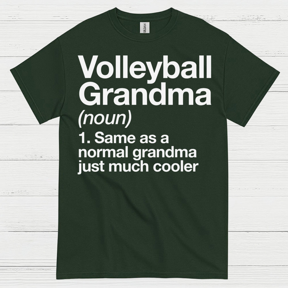 Volleyball Grandma Definition T Shirt