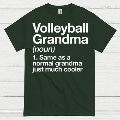 Volleyball Grandma Definition T Shirt