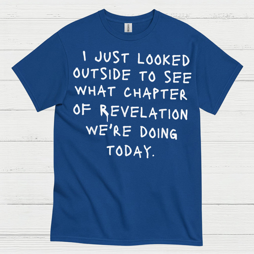 I Just Looked Outside Revelation Humor T Shirt