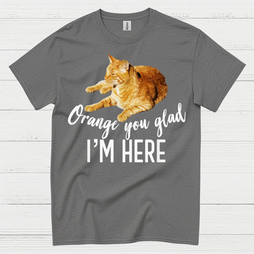 Orange You Glad Im Here Cat Humor T Shirt