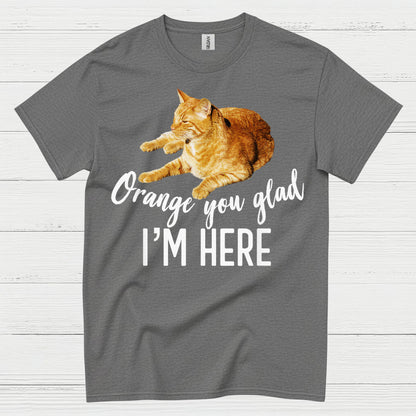 Orange You Glad Im Here Cat Humor T Shirt